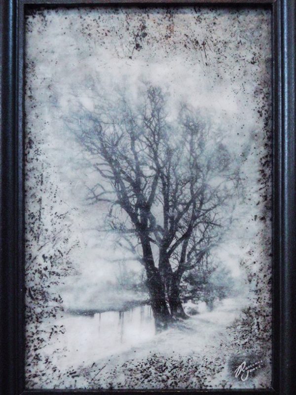 AvonsideTrees-2023-PhotoEncaustic 2