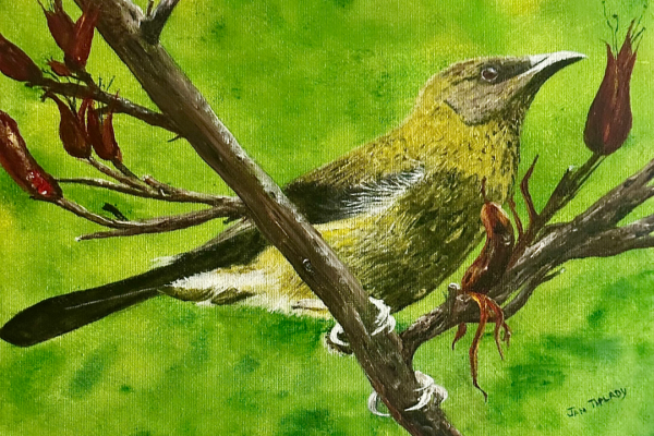 Lower res copy of Bell Bidrd